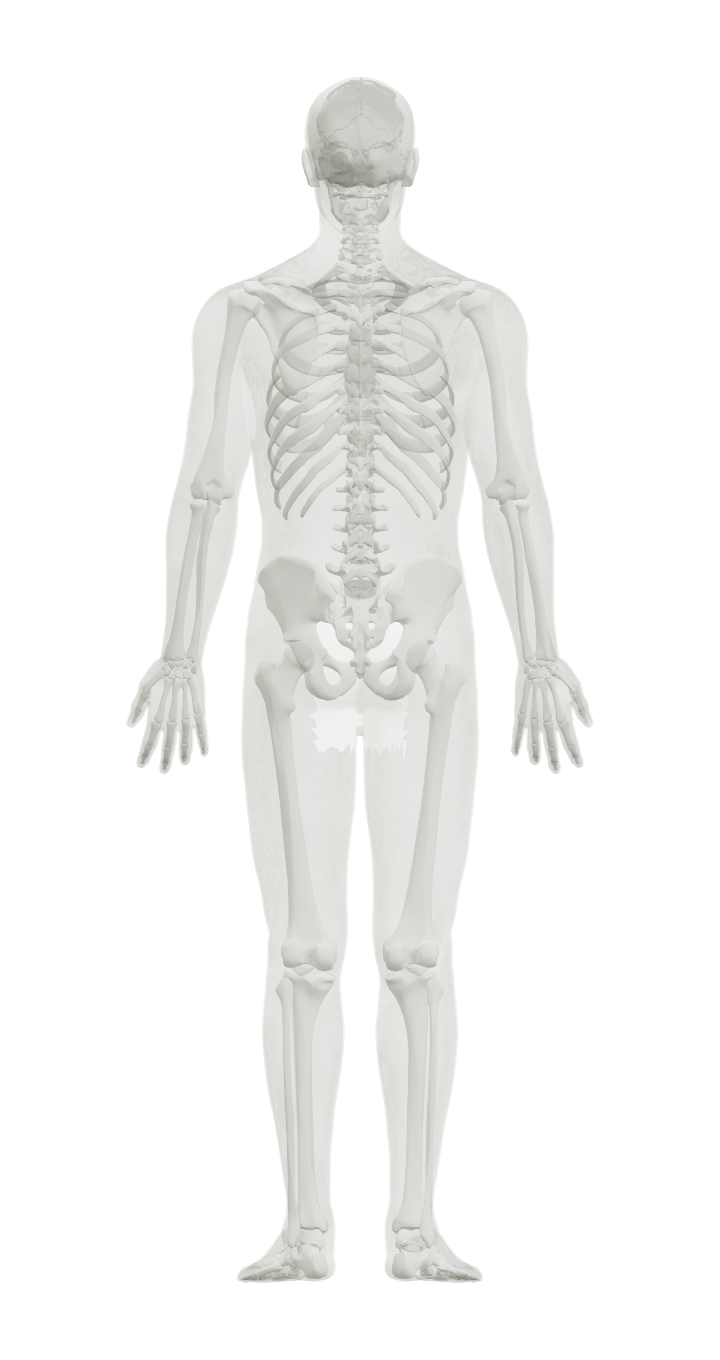 Back view of a person; click the body to select a location